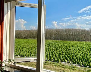 View from bedroom in Holiday home in Callantsoog, North Sea coast, North Holland.