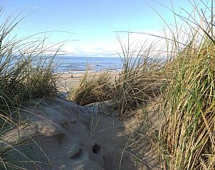 Guest house 4504127 - Holiday property Noordzeekust - Vakantiehuis Stuivezandeweg 6, N�he Strand