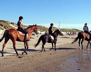 Guest house 4504134 - Holiday property Noordzeekust - Vakantiehuis Gem�tliches Ferienhaus De Blenck