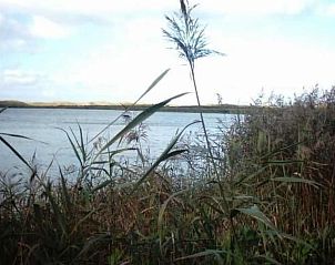 Guest house 4504134 - Holiday property Noordzeekust - Vakantiehuis Gem�tliches Ferienhaus De Blenck