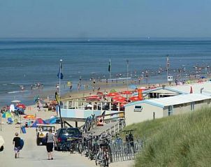 Unterkunft 4504149 - Ferienhaus Noordzeekust - Vakantiehuis Gemütlicher Bungalow für 4 Personen