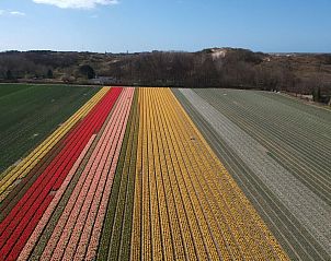 Guest house 4504150 - Holiday property Noordzeekust - Vakantiehuis Ferienbungalow Abbes mit Garten und Terrasse