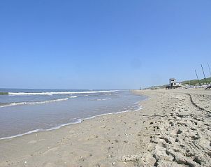 Discover the colorful tulip fields near Suite Duinzicht Callantsoog, North Sea coast, North Holland.