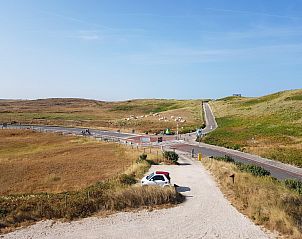 Enjoy a day at the beach with your pets near Suite Duinzicht Callantsoog, North Sea Coast, North Holland.