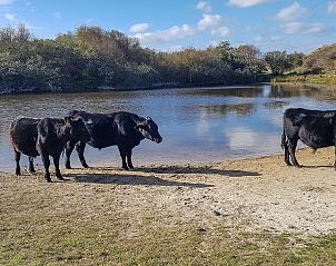 Bike route through the dunes near Wijde Blick 211 Callantsoog vacation home, North Sea coast, North Holland.
