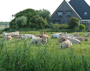 Guest house 4504170 - Holiday property Noordzeekust - Vakantiehuis de Korre 2 in Callantsoog