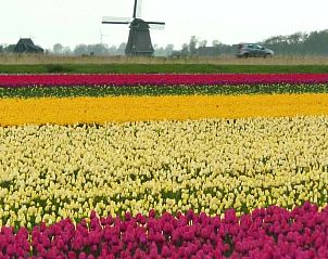 Guest house 4504170 - Holiday property Noordzeekust - Vakantiehuis de Korre 2 in Callantsoog