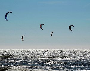 Guest house 4504176 - Holiday property Noordzeekust - Vakantiehuis 