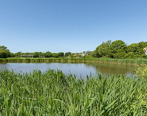 Rustgevend uitzicht op natuurvijver nabij Sandepark 165 Groote Keeten in Callantsoog, Noord-Holland.