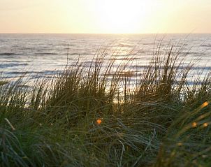 Guest house 4504193 - Holiday property Noordzeekust - Vakantiehuis Gem�tliches Ferienbungalow mit Garten