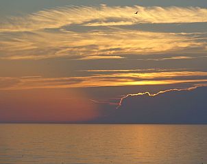 Unterkunft 4504198 - Ferienhaus Noordzeekust - Vakantiehuis 