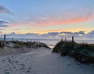 Blhende Tulpenfelder in der Nhe des Ferienhauses Buitenplaats 062 Callantsoog in Nordholland.