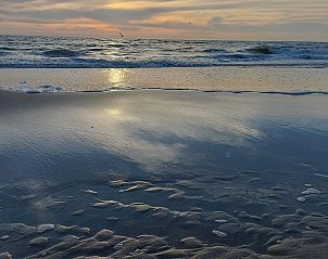 Pferde bei Buitenplaats 062 Callantsoog Ferienhaus an der Nordseekste.