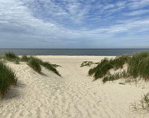 Guest house 4504208 - Holiday property Noordzeekust - Vakantiehuis CS 63 - Vakantiepark Callassande 4p