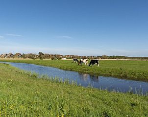 Unterkunft 4504230 - Ferienhaus Noordzeekust - De Buitenplaats 42