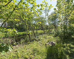 Unterkunft 4504275 - Ferienhaus Noordzeekust - Previnaireweg 34