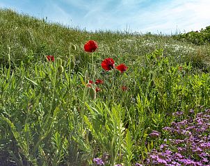 Guest house 4504280 - Holiday property Noordzeekust - Callantsduyne 22