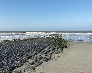 Guest house 4504309 - Holiday property Noordzeekust - Wijde Blick 311