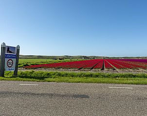 Unterkunft 4504319 - Ferienhaus Noordzeekust - Beach Appartement 04