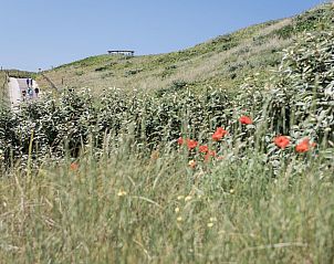 Guest house 4504338 - Holiday property Noordzeekust - Duynsuites aan zee