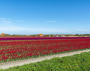 Guest house 4504342 - Holiday property Noordzeekust - De Buitenplaats 72