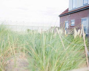 Spring in the garden of Holiday home in Callantsoog, North Sea coast, North Holland with flowering willow cattails.