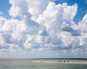 Seals rest on sandbank near Holiday home in Callantsoog, North Sea coast, North Holland for unique nature experience.