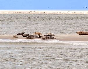 Sandy path to the beach at Holiday home in Callantsoog, North Sea coast, North Holland with dunes and sea view.