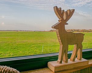 View from Spoiled Wheel in Callantsoog with wooden deer statue and green fields.