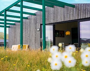 View from the veranda of Royal Dune 4, Callantsoog, with wildflowers and open landscape.