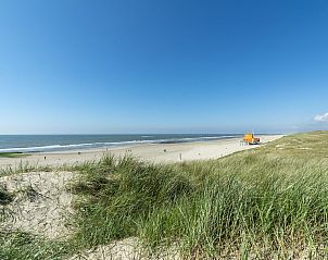 Bloeiende tulpenvelden nabij Beach Appartement 11 Callantsoog aan de Noordzeekust in Noord-Holland.