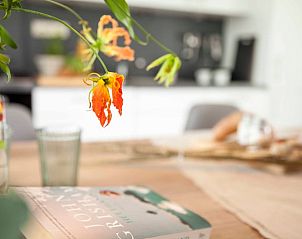 Detail of flowers and book in the kitchen of Holiday home in Callantsoog, North Sea coast, North Holland.