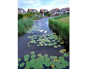 Verblijf 4504518 - Vakantiewoning Noordzeekust - 298377