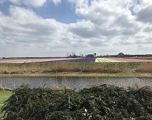 Guest house 4504521 - Holiday property Noordzeekust - 232408