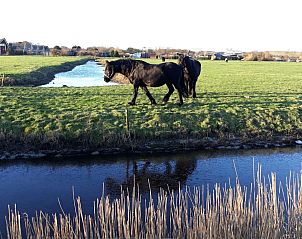 Guest house 4504525 - Holiday property Noordzeekust - 139851