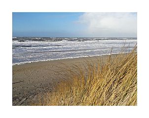 Guest house 4504525 - Holiday property Noordzeekust - 139851