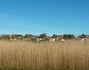Guest house 4504525 - Holiday property Noordzeekust - 139851