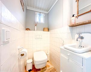 Stijlvolle toiletruimte in vakantiehuis Sol in Callantsoog.
