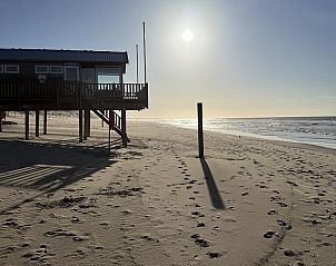 Guest house 4504549 - Holiday property Noordzeekust - Suite Koeboet