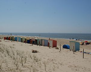 Guest house 4504549 - Holiday property Noordzeekust - Suite Koeboet