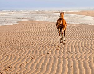 Horseback riding on the beach at Huisje in Callantsoog, vacation home on the North Sea coast in North Holland.