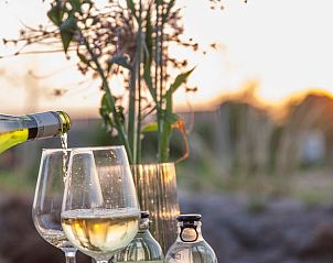 Genieten van een glas wijn bij zonsondergang in de tuin van Vakantiehuisje in Callantsoog, Noordzeekust, Noord-Holland.
