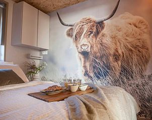 Verblijf 450480 - Vakantiewoning Noordzeekust - Vakantiehuisje in Callantsoog