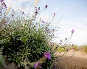 Verblijf 450480 - Vakantiewoning Noordzeekust - Vakantiehuisje in Callantsoog