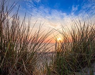 Verblijf 450480 - Vakantiewoning Noordzeekust - Vakantiehuisje in Callantsoog