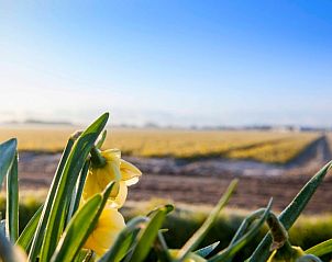 Verblijf 450480 - Vakantiewoning Noordzeekust - Vakantiehuisje in Callantsoog