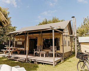 Unterkunft 450482 - Zelthaus Noordzeekust - Beach Lodge