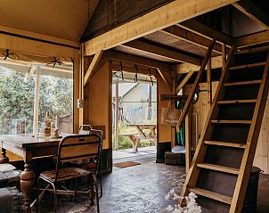 Unterkunft 450482 - Zelthaus Noordzeekust - Beach Lodge