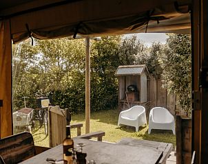 Unterkunft 450482 - Zelthaus Noordzeekust - Beach Lodge