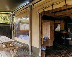 Unterkunft 450482 - Zelthaus Noordzeekust - Beach Lodge